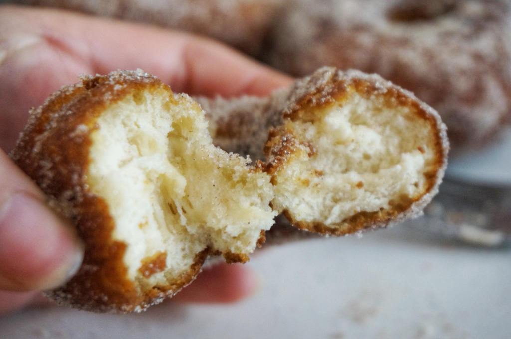 Easy Cake Doughnuts