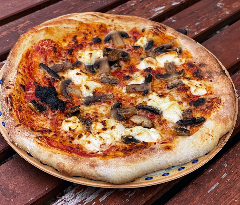 Ninja Woodfire Electric Outdoor Oven, Artisan Pizza Maker and BBQ Smoker OO101UK